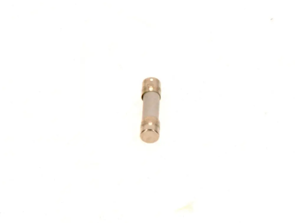 BOSCH Sicherungseinsatz, zylindrische Form mit metallenen Endkappen, auf hellem Hintergrund.